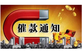 网贷催收可以给你还钱吗？揭秘网贷催收的真相与应对策略