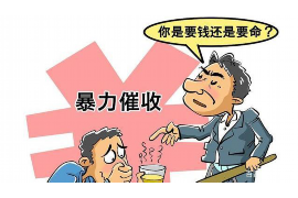 借几天上门催收？解析债务催收中的关键问题