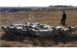 一封尚未发现的讨债书