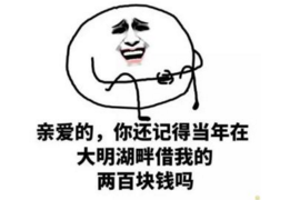 上海要债公司讨债公司有哪些公司