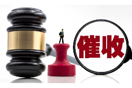 爱生命的孩子是讨债鬼