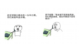 催收专员话术6：高效沟通的艺术